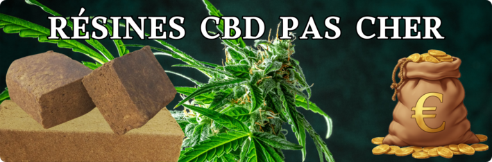 Resine CBD pas cher